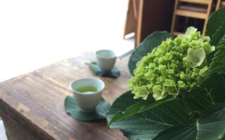 No.22キャンプと梅雨入り
