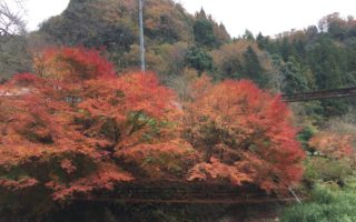 No.45　邑南旅行