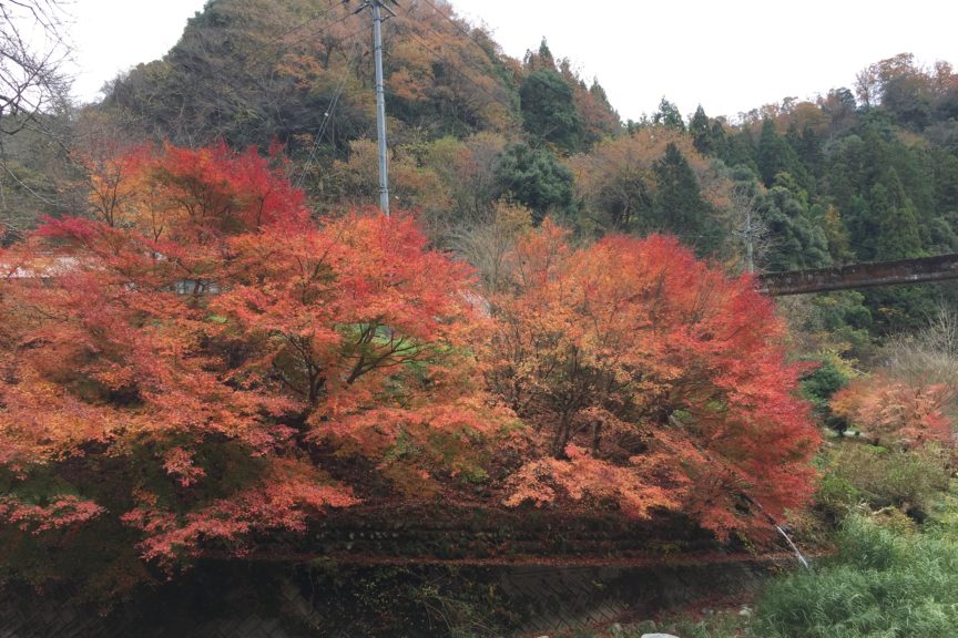 No.45　邑南旅行