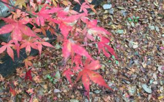 年末年始休業のお知らせ