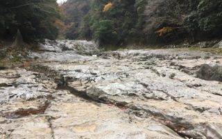 No.47 開封後はお早めにお飲みくださいのわけ