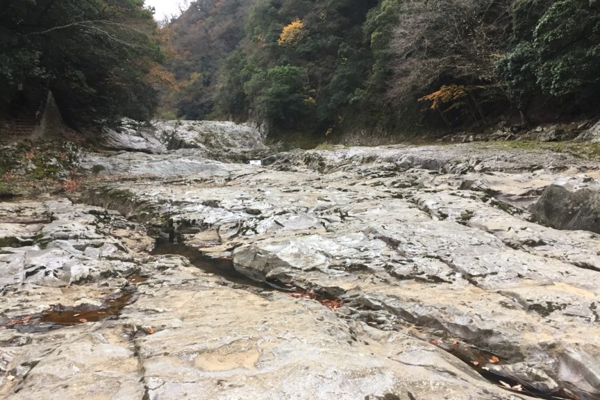 No.47 開封後はお早めにお飲みくださいのわけ