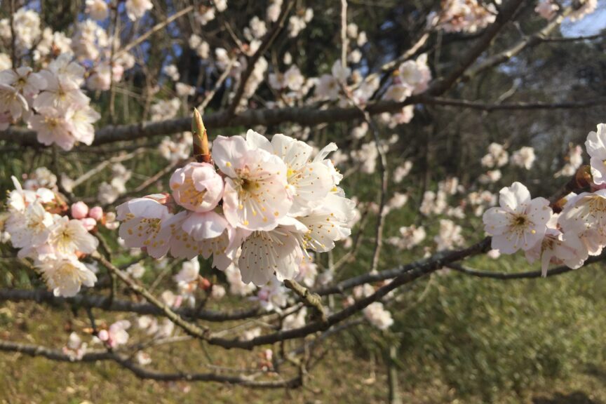 No.57 加島家のみそづくり