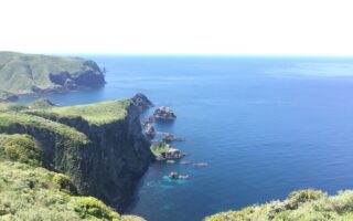 No.60　屋久島新茶