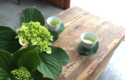 No.109　加島茶舗の合組茶